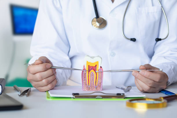 Best Chipped Tooth Repair Near Me  in Albertville, MN
